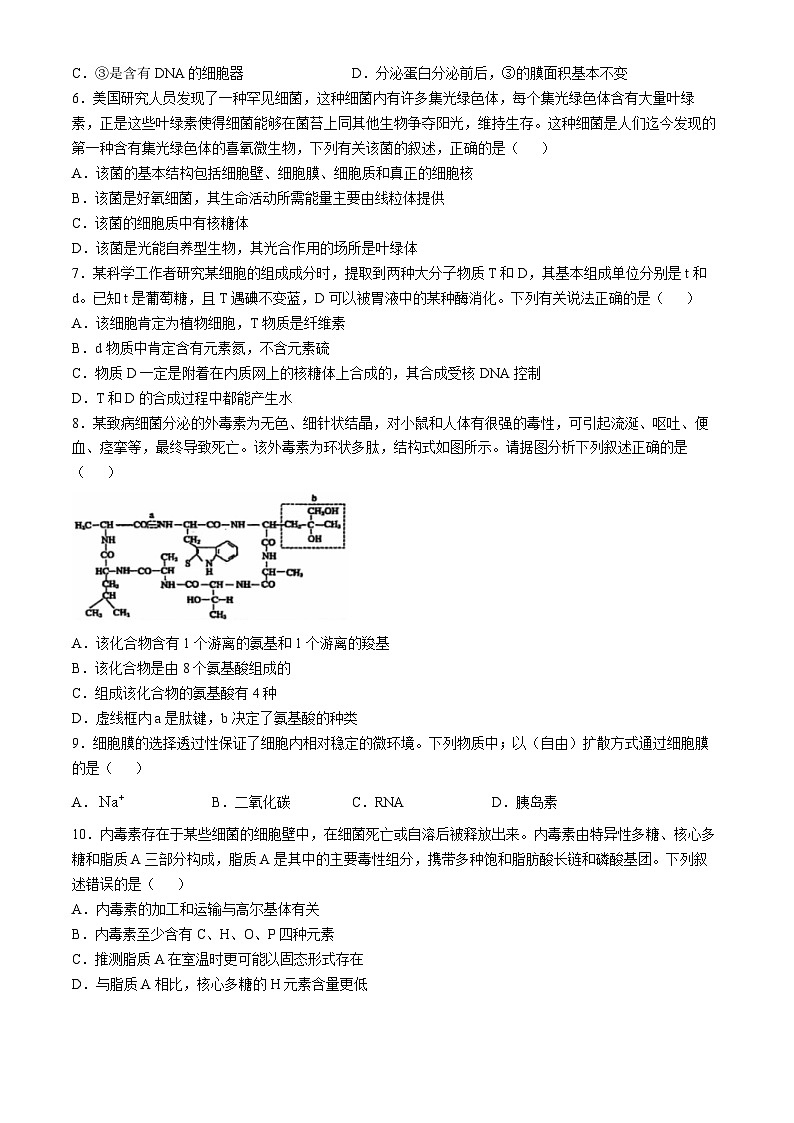 广东省江门市培英高级中学2024-2025学年高一上学期12月月考生物试题(无答案)第2页