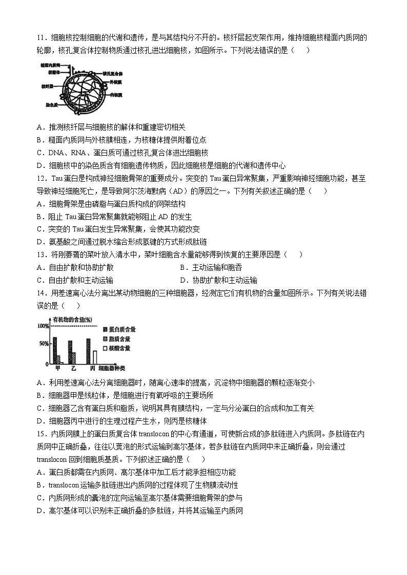广东省江门市培英高级中学2024-2025学年高一上学期12月月考生物试题(无答案)第3页