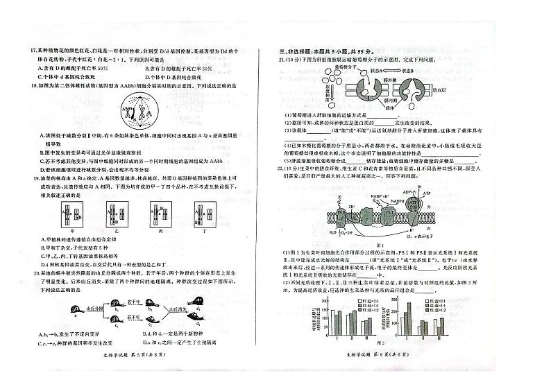 辽宁省2023_2024学年高三生物上学期期中试题pdf第3页