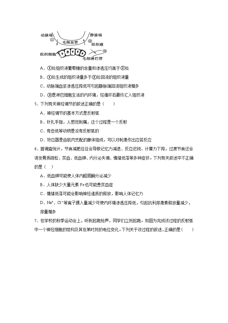 湖南省汨罗市第一中学2024-2025学年高二上学期期中考试生物试题第2页