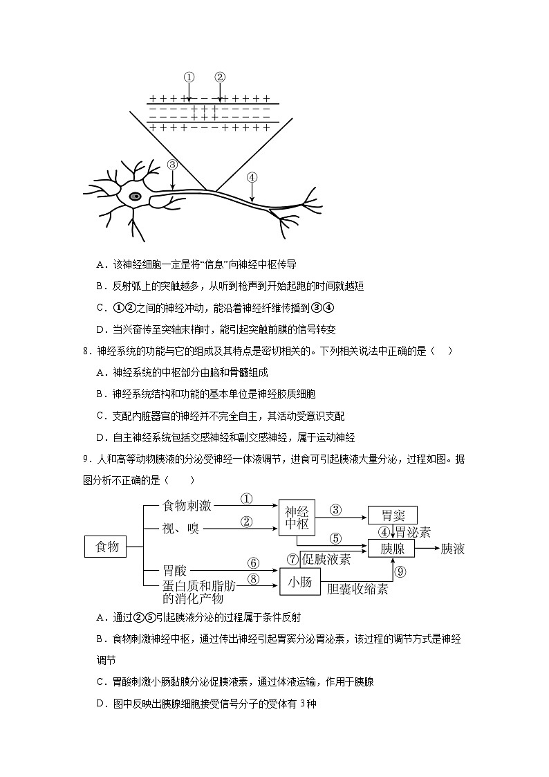 湖南省汨罗市第一中学2024-2025学年高二上学期期中考试生物试题第3页