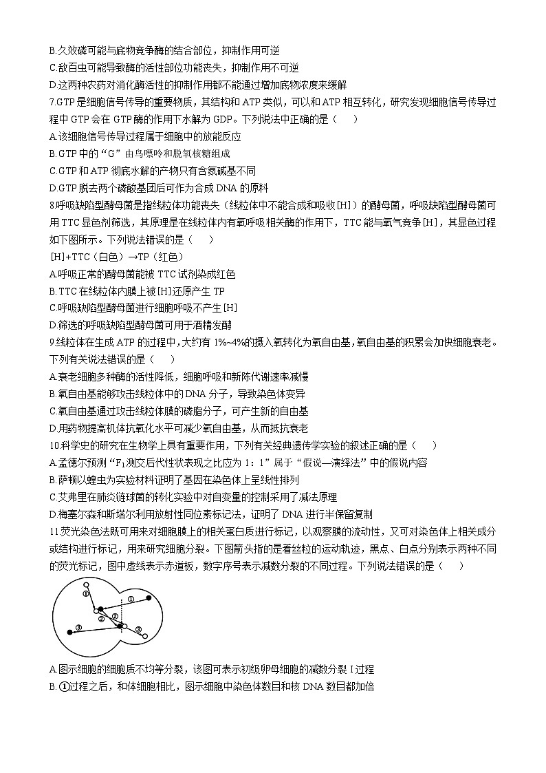黑龙江省哈尔滨市德强高级中学2024-2025学年高三上学期期中生物试题第2页