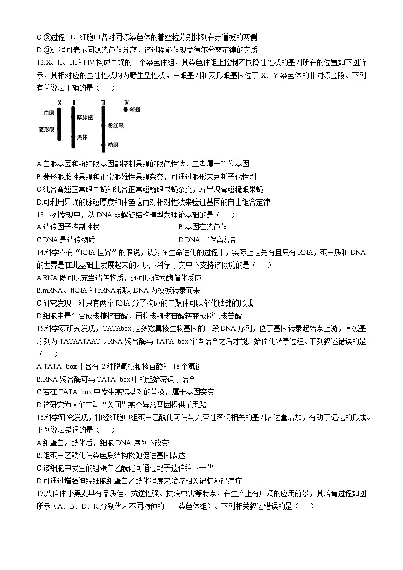 黑龙江省哈尔滨市德强高级中学2024-2025学年高三上学期期中生物试题第3页