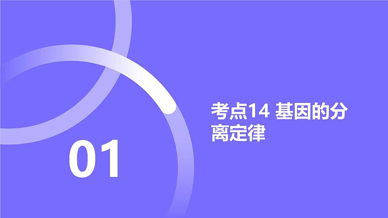 2025届高考生物基础练习专题五 遗传的基本规律课件第2页