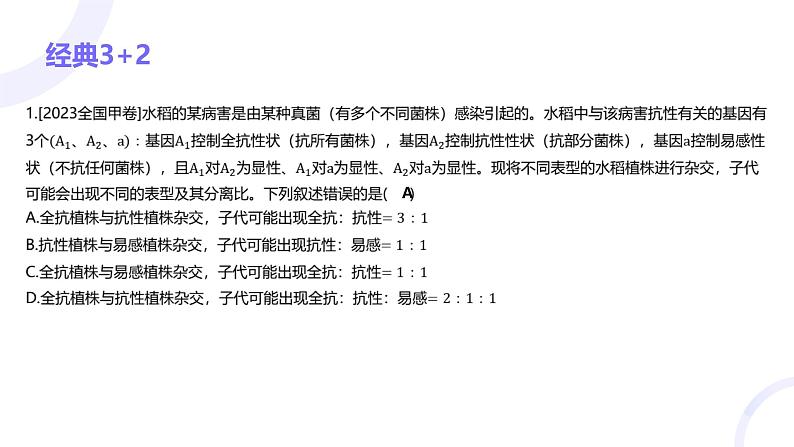 2025届高考生物基础练习专题五 遗传的基本规律课件第3页