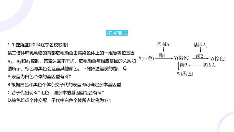 2025届高考生物基础练习专题五 遗传的基本规律课件第6页