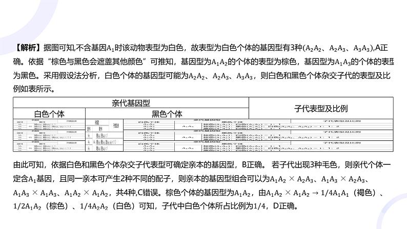 2025届高考生物基础练习专题五 遗传的基本规律课件第7页