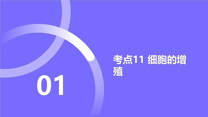 2025届高考生物基础练习专题四 细胞的生命历程课件第2页