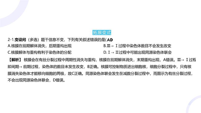 2025届高考生物基础练习专题四 细胞的生命历程课件第5页