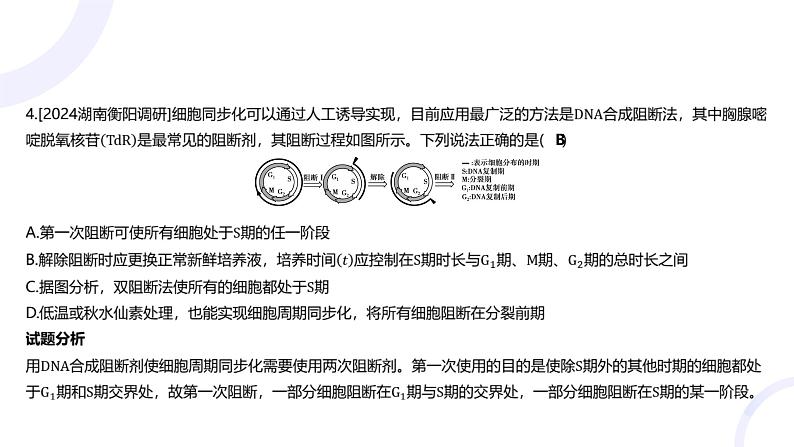 2025届高考生物基础练习专题四 细胞的生命历程课件第7页