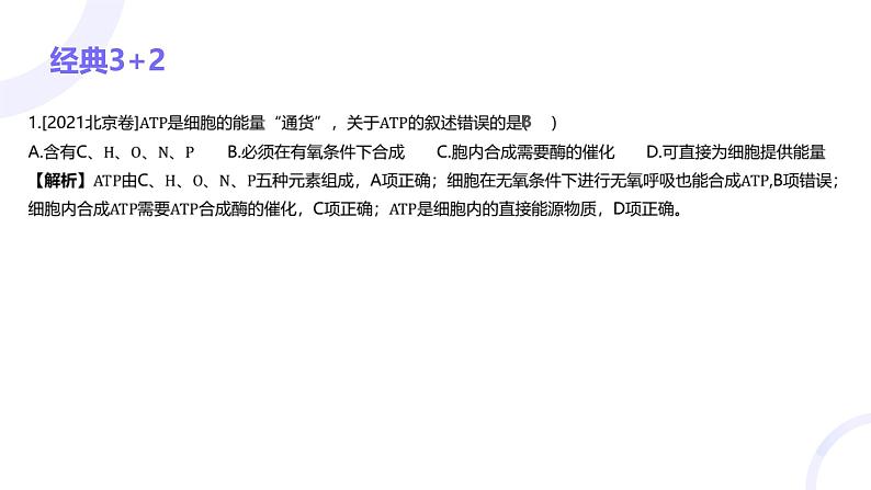 2025届高考生物基础练习专题三 细胞的能量供应和利用课件第3页