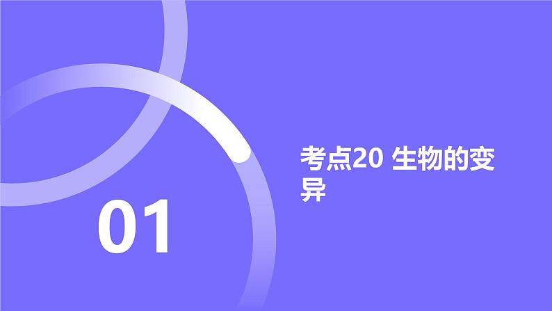 2025届高考生物基础练习专题七 生物的变异与进化课件第2页