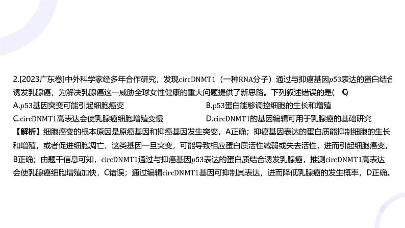 2025届高考生物基础练习专题七 生物的变异与进化课件第4页