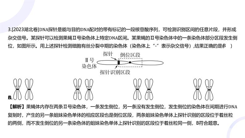 2025届高考生物基础练习专题七 生物的变异与进化课件第6页