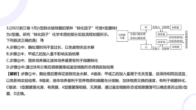 2025届高考生物基础练习专题六 遗传的分子基础课件第5页