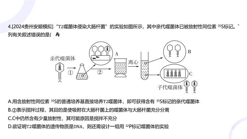 2025届高考生物基础练习专题六 遗传的分子基础课件第6页