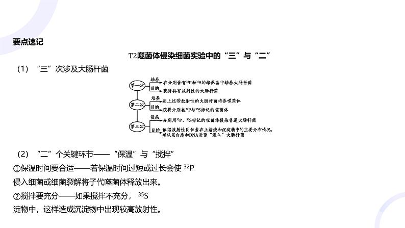 2025届高考生物基础练习专题六 遗传的分子基础课件第8页