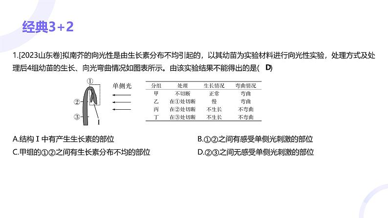 2025届高考生物基础练习专题九 植物生命活动的调节课件第3页