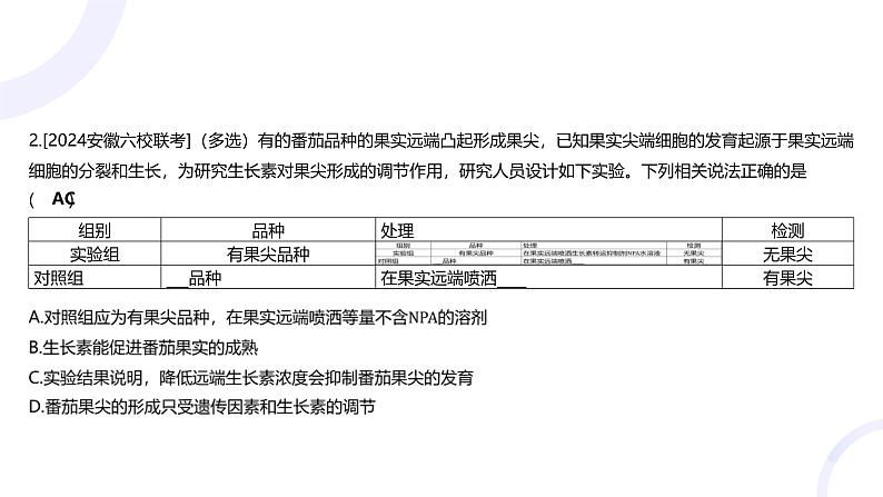 2025届高考生物基础练习专题九 植物生命活动的调节课件第6页