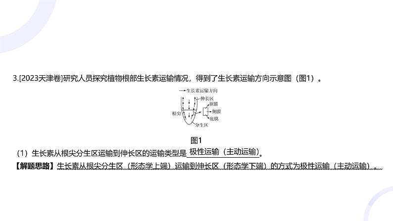 2025届高考生物基础练习专题九 植物生命活动的调节课件第8页