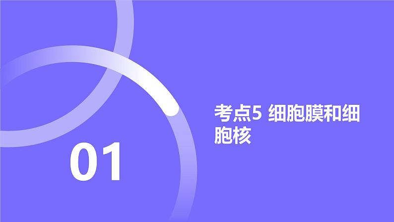 2025届高考生物基础练习专题二 细胞的基本结构与物质运输课件第2页