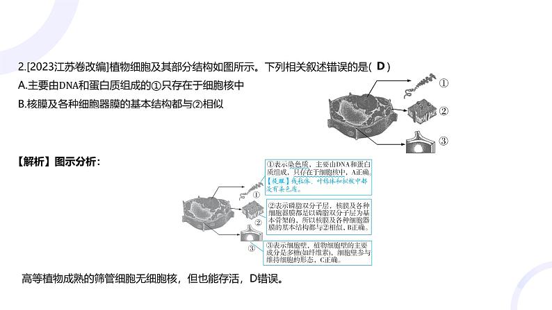 2025届高考生物基础练习专题二 细胞的基本结构与物质运输课件第4页