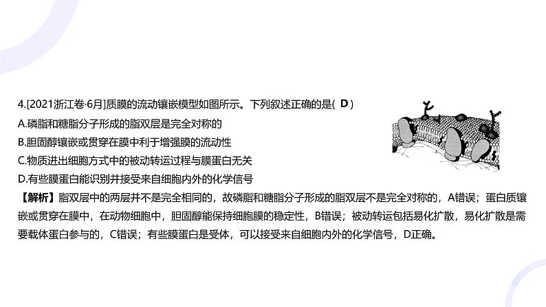 2025届高考生物基础练习专题二 细胞的基本结构与物质运输课件第6页