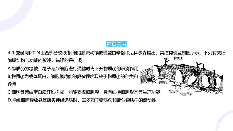 2025届高考生物基础练习专题二 细胞的基本结构与物质运输课件第7页