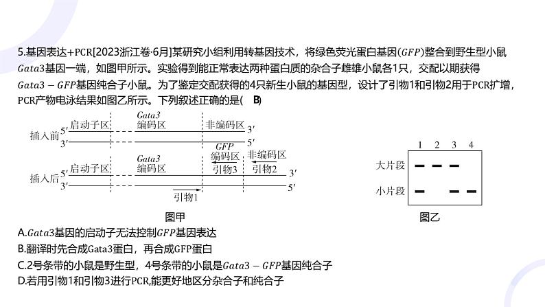 2025届高考生物基础练习特色题型专练课件第7页