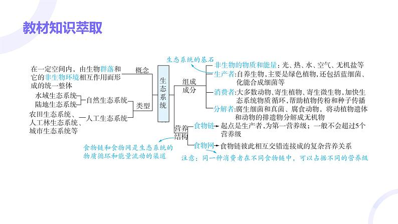 2025届高考生物基础练习第十章 第3节 生态系统的结构和功能课件第3页