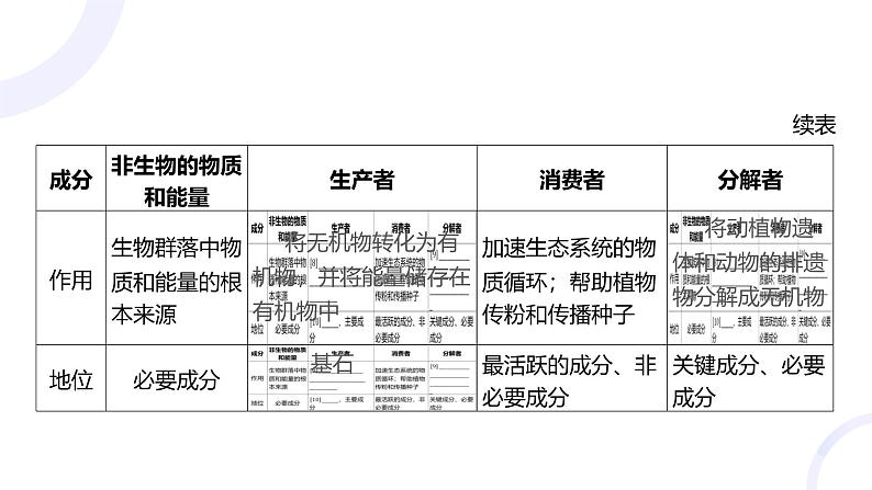 2025届高考生物基础练习第十章 第3节 生态系统的结构和功能课件第6页