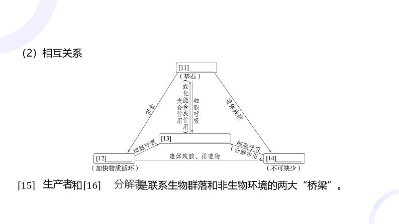 2025届高考生物基础练习第十章 第3节 生态系统的结构和功能课件第7页