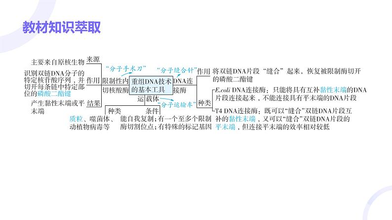 2025届高考生物基础练习第十一章 第3节 基因工程及生物技术的安全性和伦理问题课件第3页