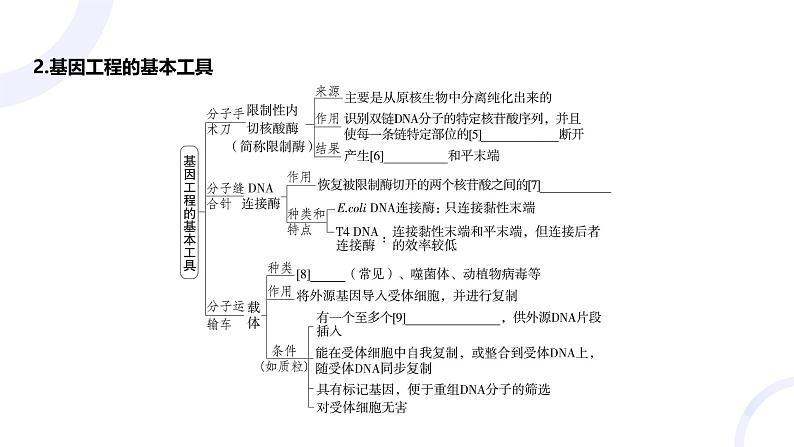 2025届高考生物基础练习第十一章 第3节 基因工程及生物技术的安全性和伦理问题课件第5页