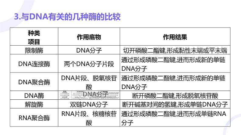 2025届高考生物基础练习第十一章 第3节 基因工程及生物技术的安全性和伦理问题课件第6页