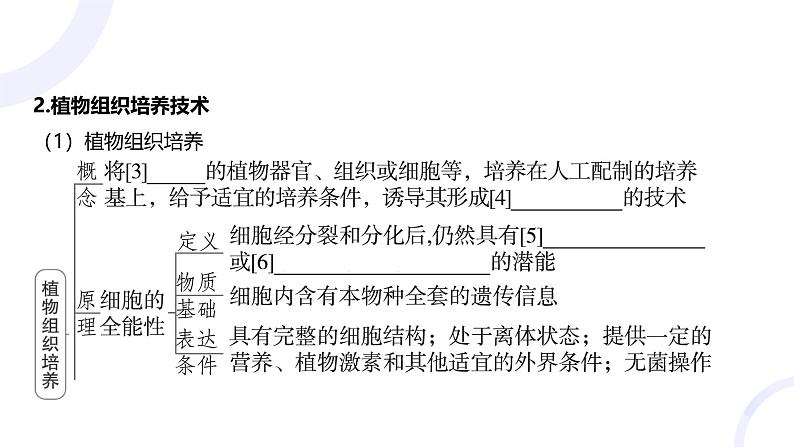 2025届高考生物基础练习第十一章 第2节 细胞工程课件第5页