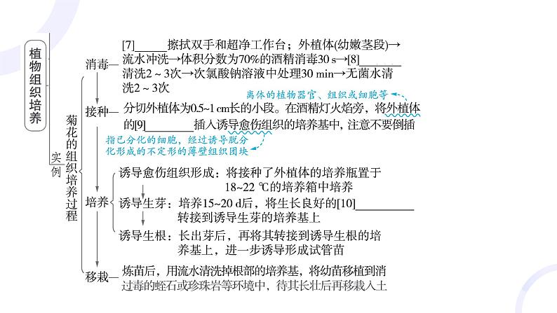 2025届高考生物基础练习第十一章 第2节 细胞工程课件第6页