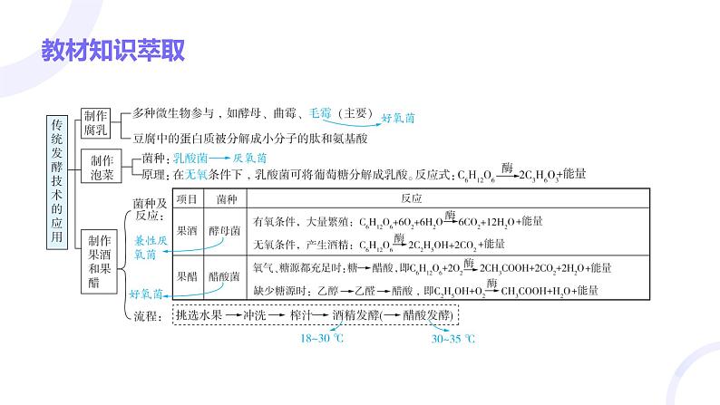 2025届高考生物基础练习第十一章 第1节 发酵工程课件第3页