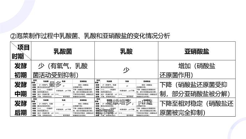 2025届高考生物基础练习第十一章 第1节 发酵工程课件第8页