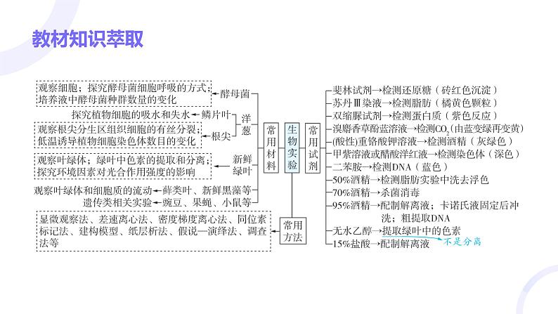 2025届高考生物基础练习第十二章 第1节 实验基础课件第3页