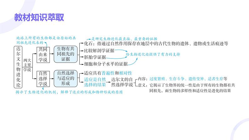 2025届高考生物基础练习第七章 第2节 生物的进化课件第3页