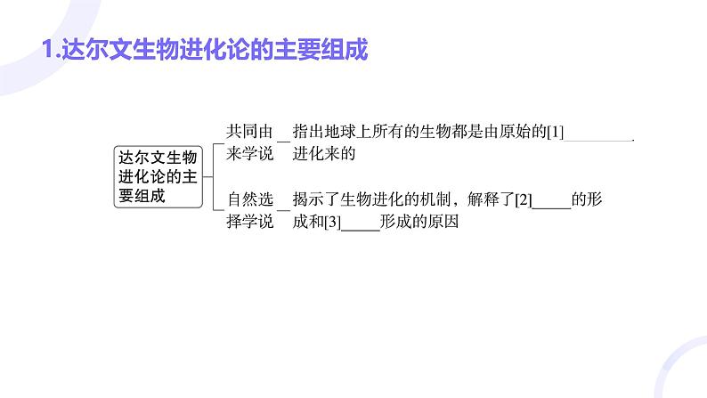 2025届高考生物基础练习第七章 第2节 生物的进化课件第4页