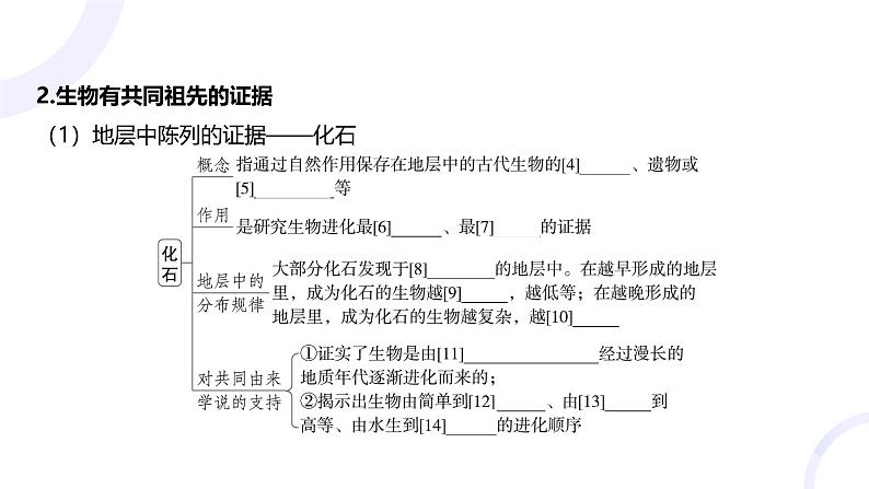 2025届高考生物基础练习第七章 第2节 生物的进化课件第5页