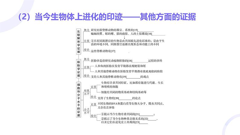2025届高考生物基础练习第七章 第2节 生物的进化课件第6页