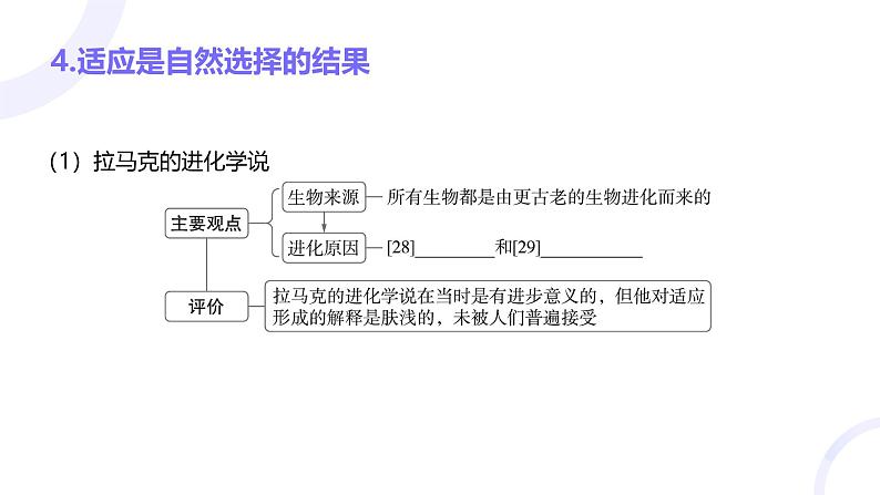 2025届高考生物基础练习第七章 第2节 生物的进化课件第8页