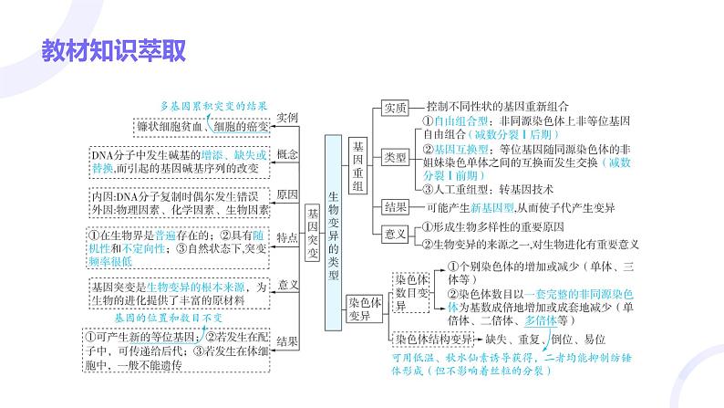 2025届高考生物基础练习第七章 第1节 生物的变异课件第3页