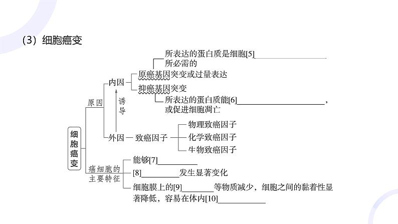 2025届高考生物基础练习第七章 第1节 生物的变异课件第7页