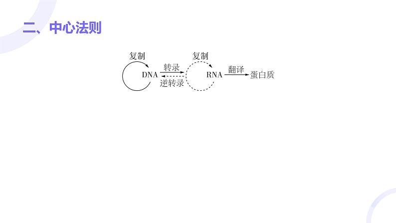 2025届高考生物基础练习第六章 第3节 基因的表达及其与性状的关系课件第4页