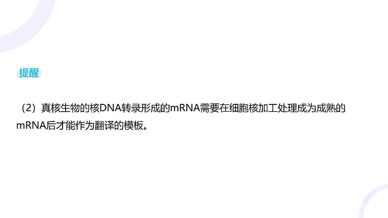 2025届高考生物基础练习第六章 第3节 基因的表达及其与性状的关系课件第7页