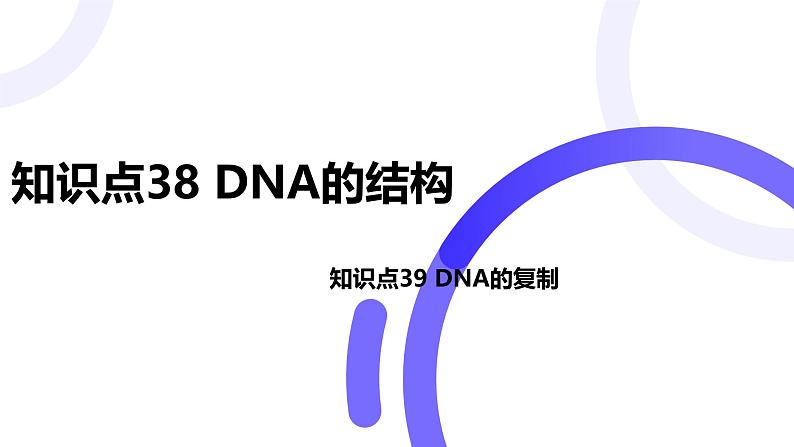 2025届高考生物基础练习第六章 第2节 DNA的结构和复制课件第1页